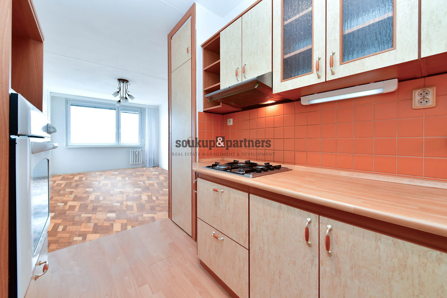 Prodej bytu 3+kk 67 m² – fotografie 3