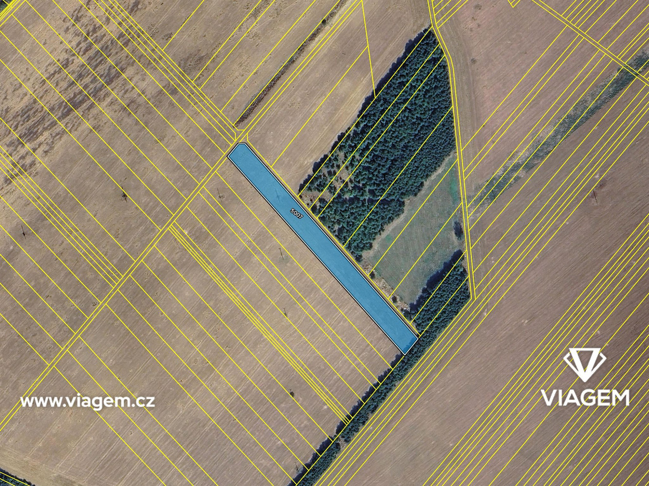 Prodej pole 5 686 m² – fotografie 4
