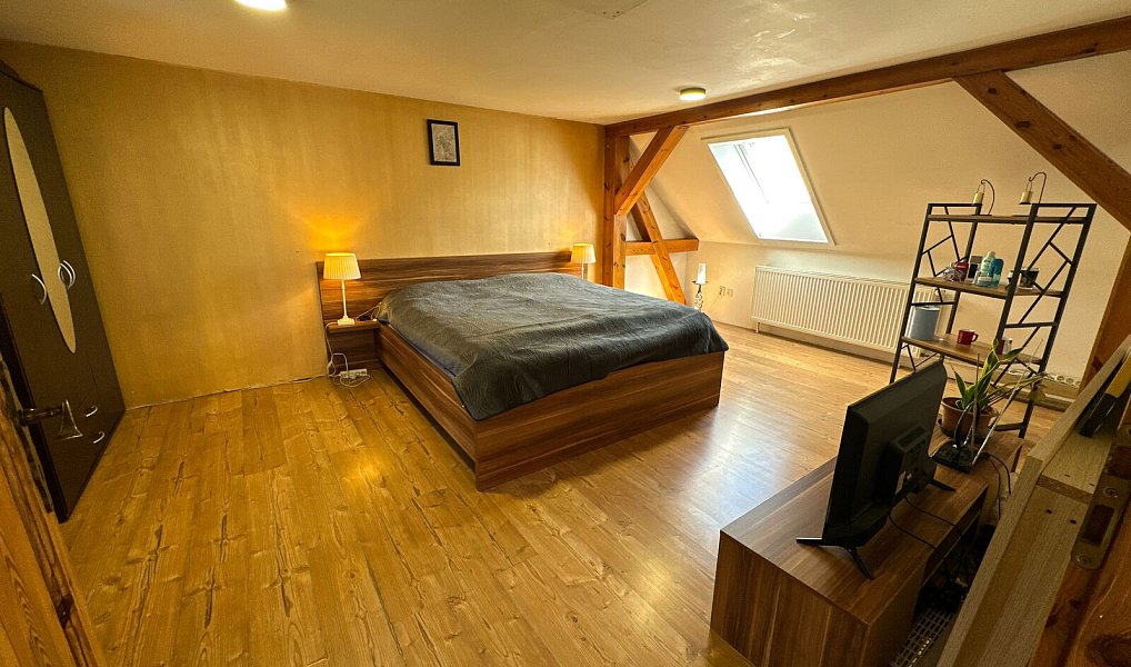 Prodej domu 100 m² s pozemkem 160 m², Staré Sedliště – náhled fotky 26