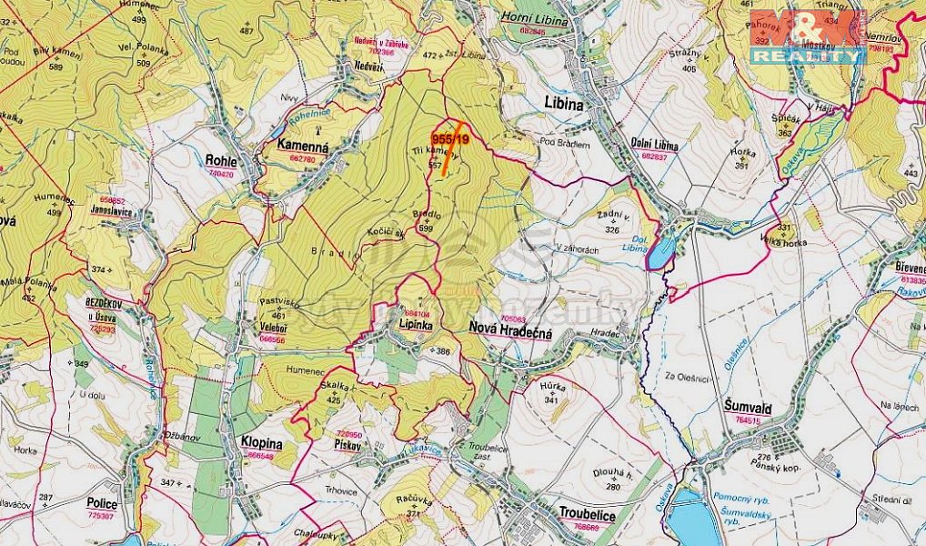Prodej lesa 10 966 m², Nová Hradečná – náhled fotky 2