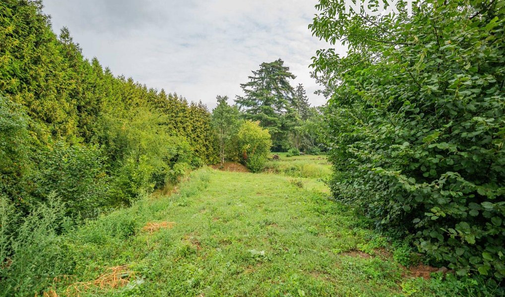 Prodej stavebního pozemku 3 456 m², Loštice – náhled fotky 3