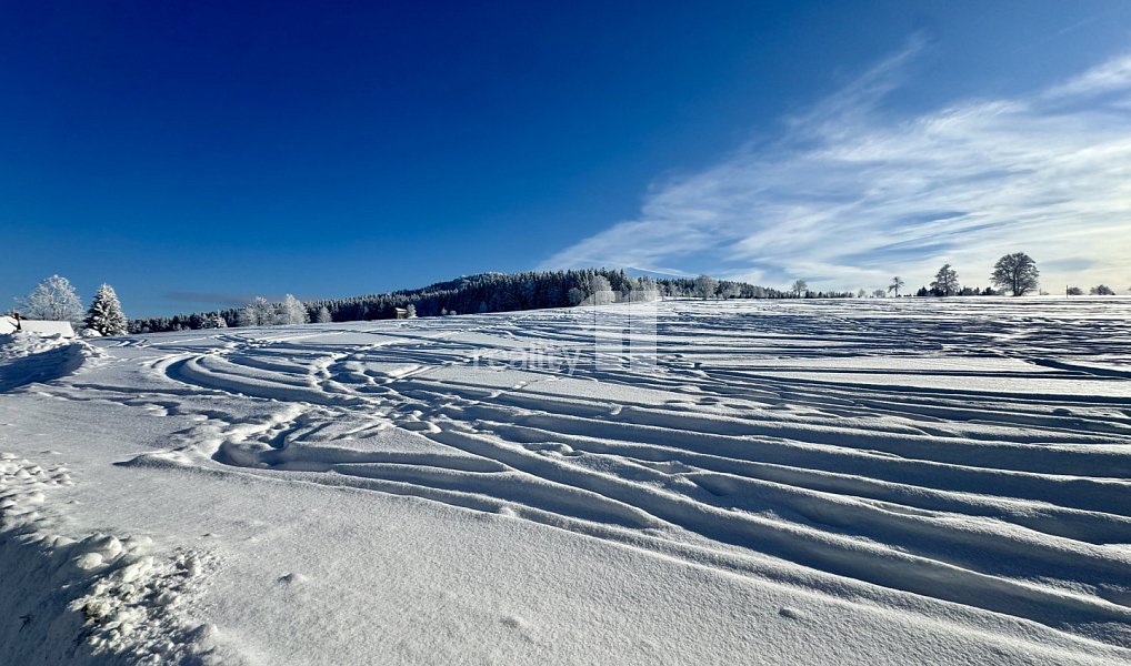 Prodej komerčního objektu (jiného typu) 500 m², Kořenov – náhled fotky 10