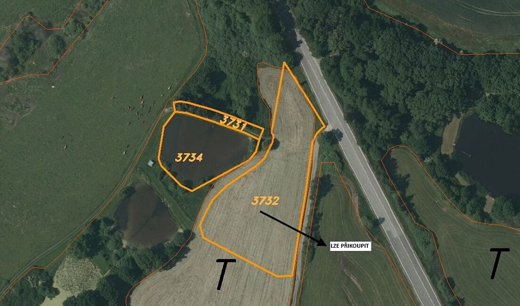 Prodej louky 2 882 m², Netolice – náhled fotky 3