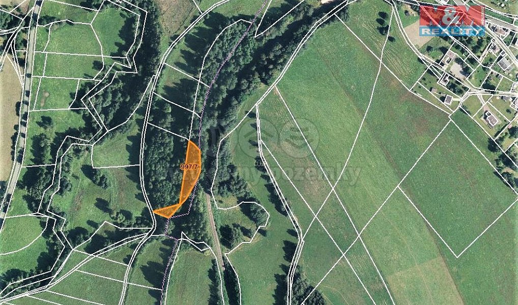 Prodej lesa 9 502 m², Bernartice – náhled fotky 3