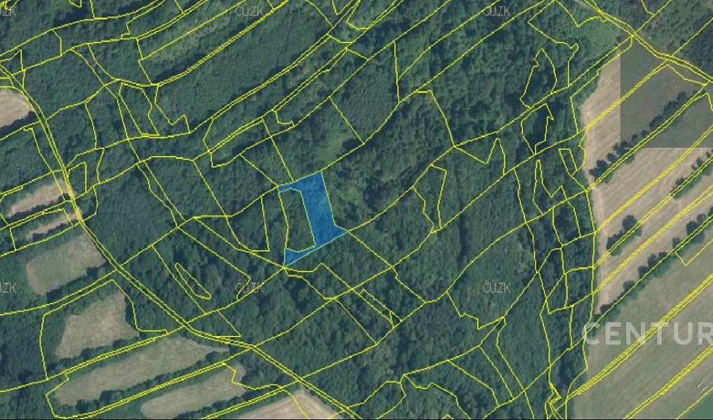 Prodej lesa 40 228 m², Nový Jičín – náhled fotky 18