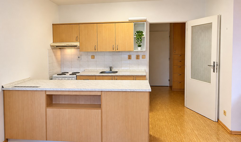 Pronájem bytu 1+kk 48 m², Opočno – náhled fotky 3