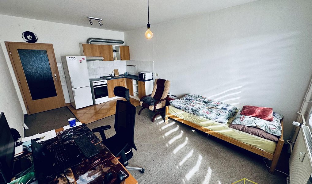 Prodej bytu 1+kk 33 m², Ústí nad Labem – náhled fotky 8