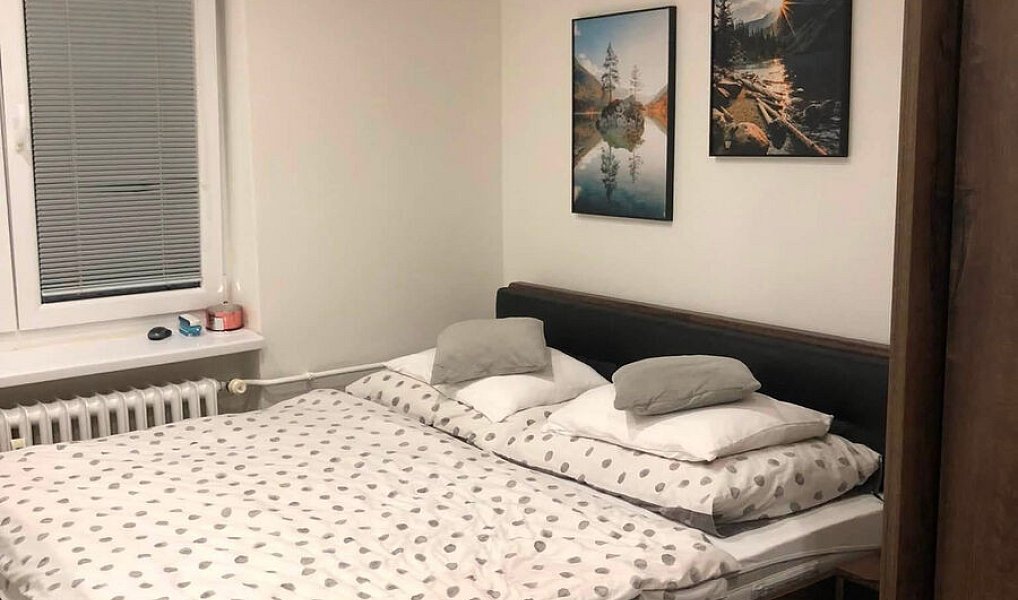 Pronájem bytu 3+kk 63 m², Olomouc – náhled fotky 6