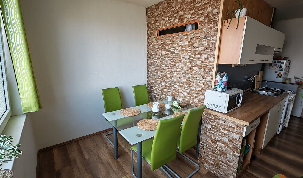 Prodej bytu 1+1 45 m², České Budějovice – náhled fotky 7