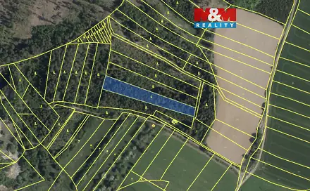 Prodej lesa 7 177 m², Mysletice, okres Jihlava
