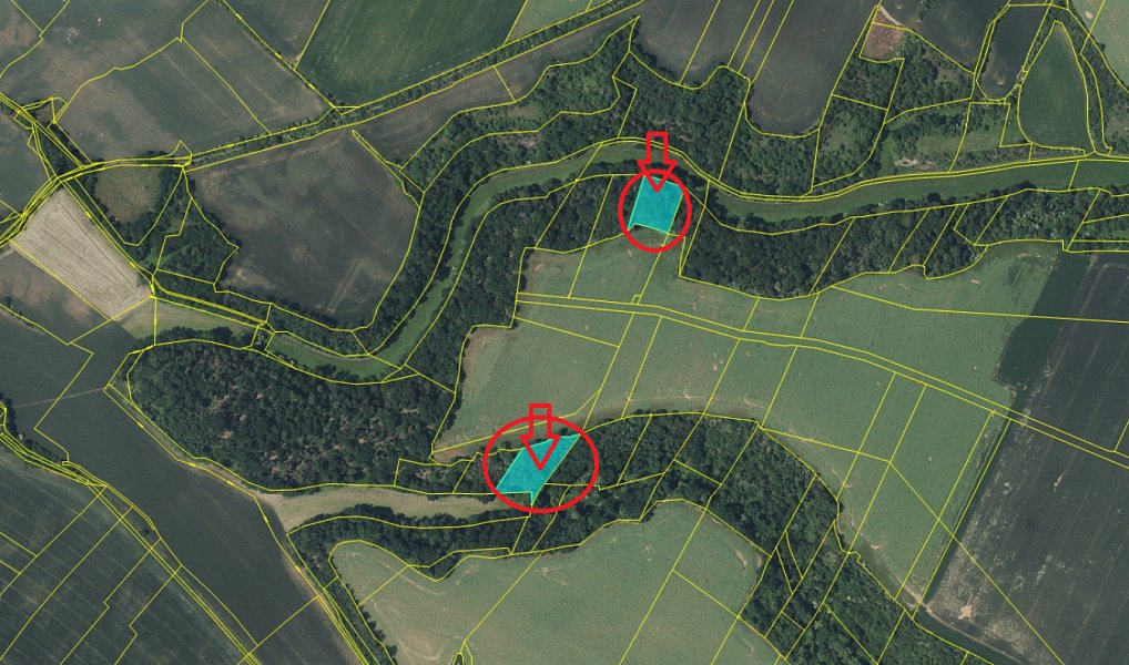Prodej lesa 5 445 m², Dolní Zimoř – náhled fotky 4