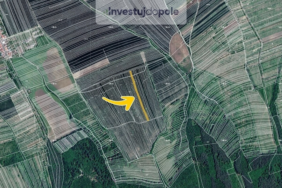 Prodej louky 1 208 m² – pohled 2