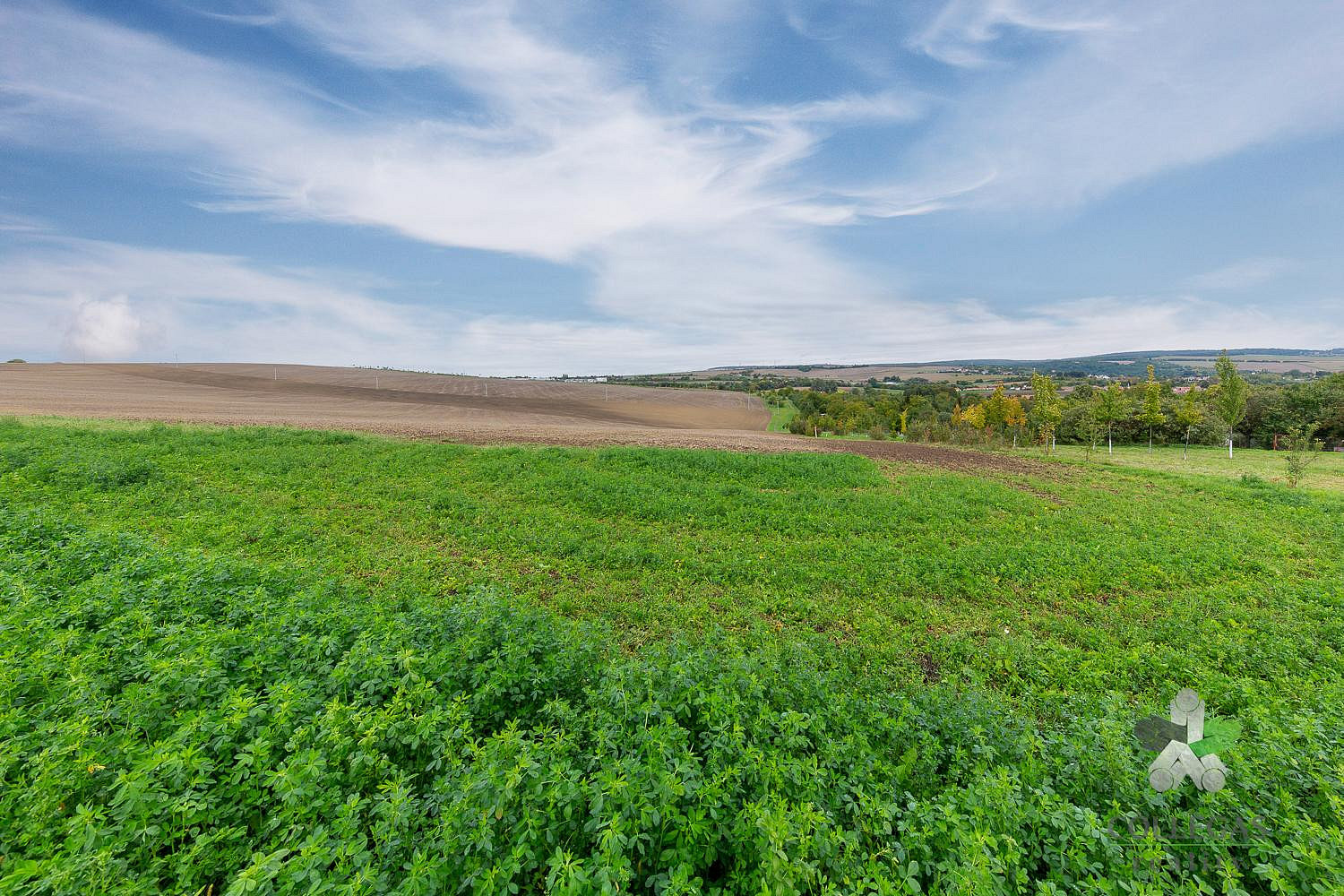 Prodej pole 5 175 m²