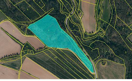 Prodej lesa 24 443 m², Tasov, okres Žďár nad Sázavou