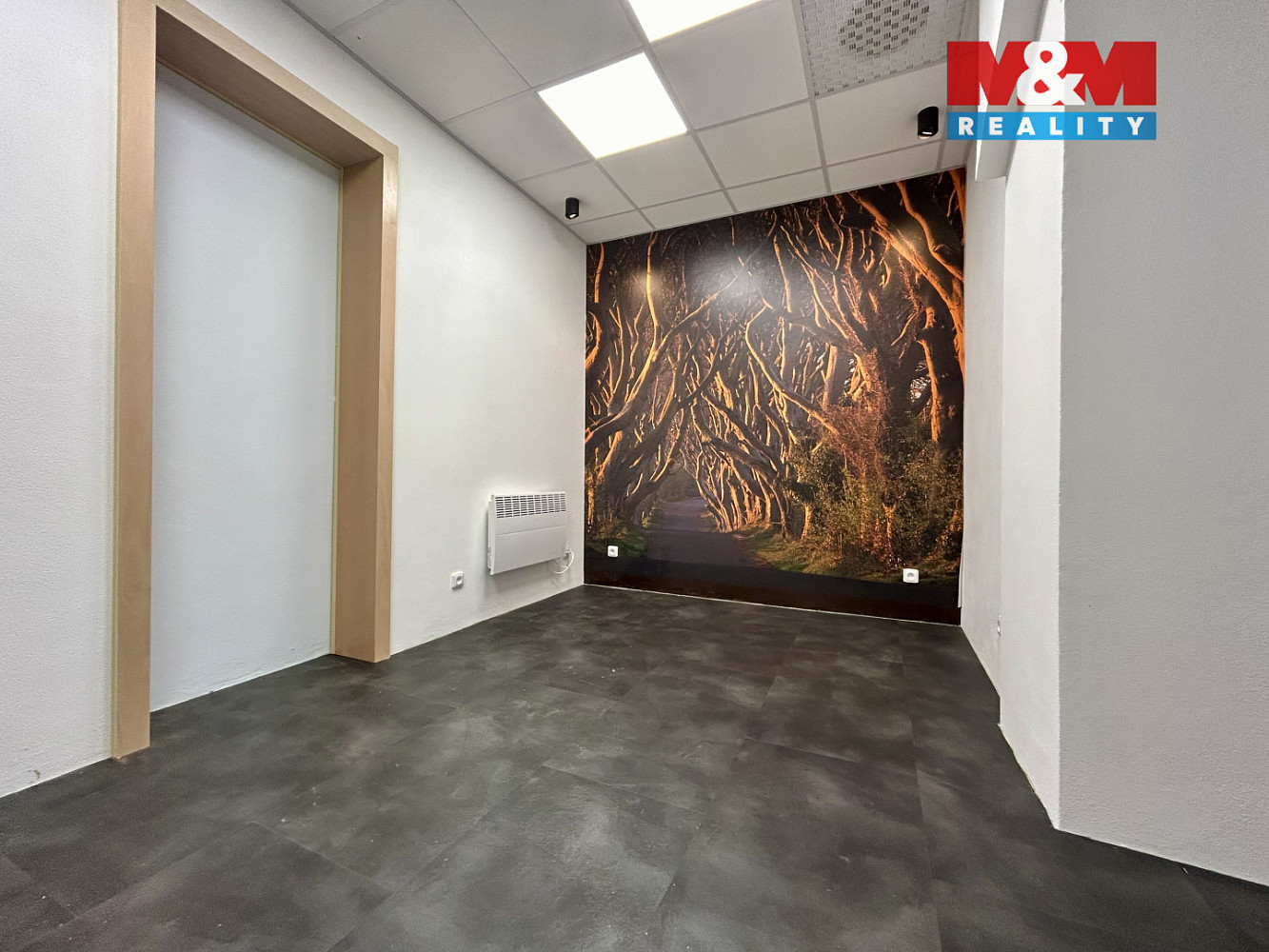 Pronájem obchodních prostor 23 m² — photo 5
