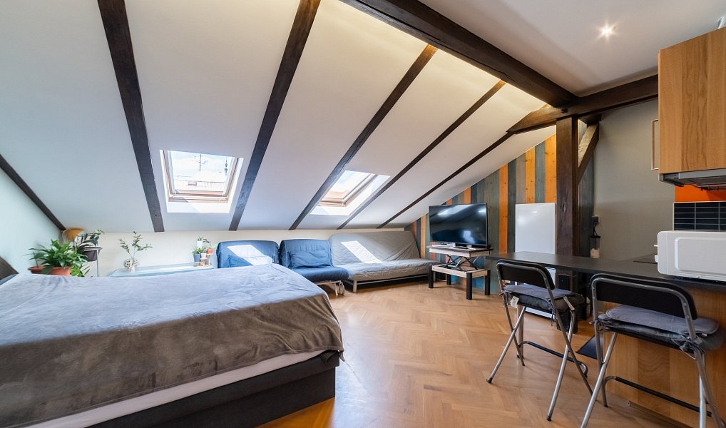 Prodej bytu 1+kk 45 m², Praha – náhled fotky 6