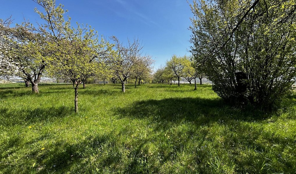 Prodej pozemku 7 559 m², Horní Újezd – náhled fotky 4
