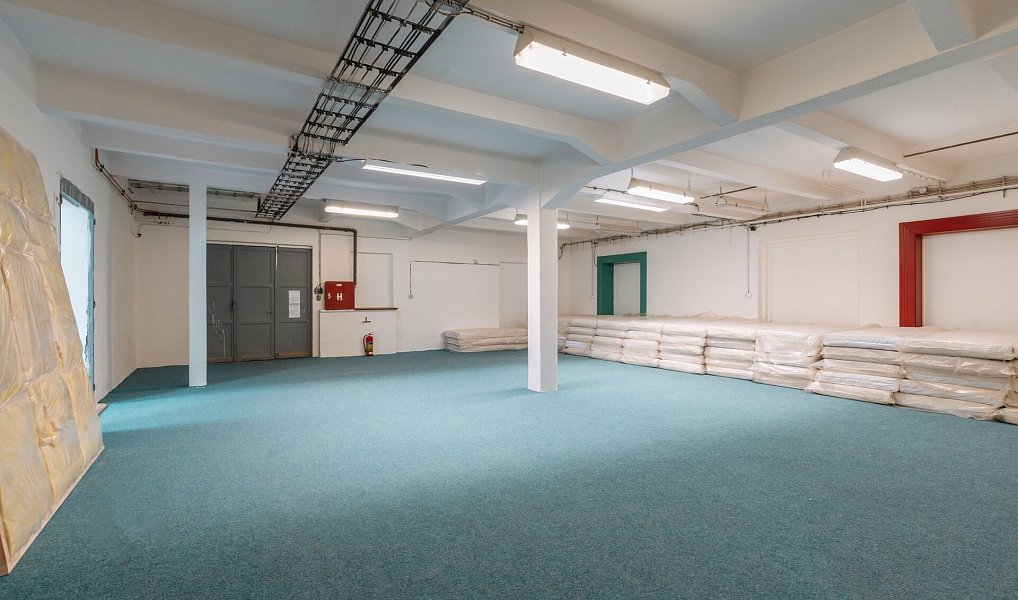 Prodej výrobních prostor 11 439 m², Ostrov – náhled fotky 8