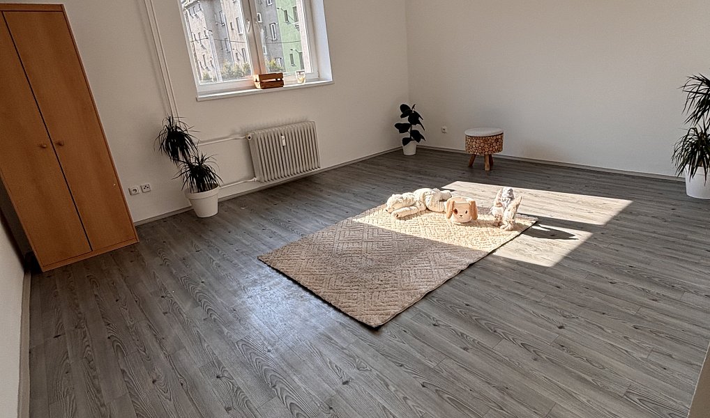 Pronájem bytu 1+1 47 m², Ostrava – náhled fotky 4