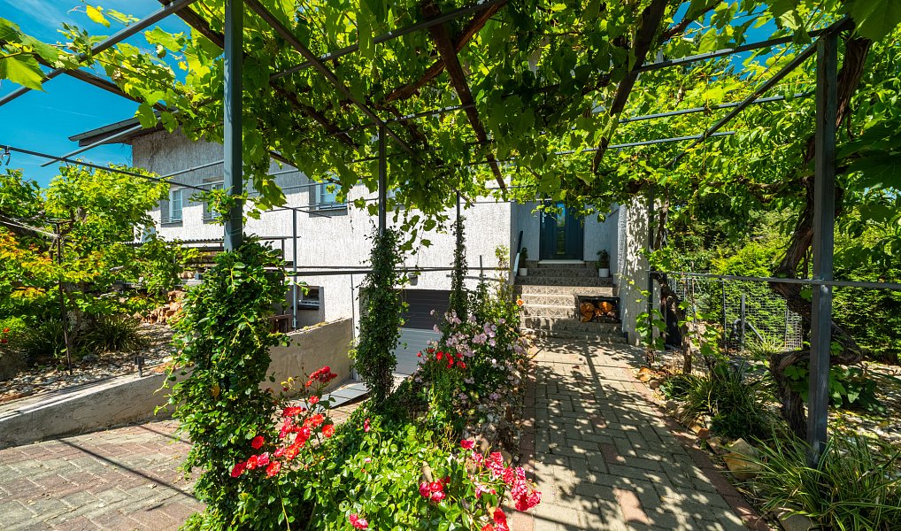 Prodej domu 280 m² s pozemkem 939 m², Světice – náhled fotky 3