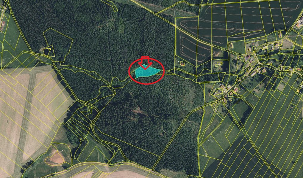 Prodej lesa 2 784 m², Verneřice – náhled fotky 5
