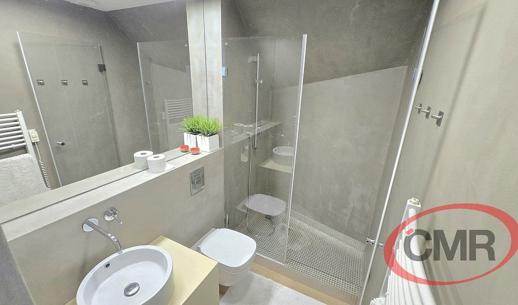 Pronájem domu 200 m² s pozemkem 534 m², Praha – náhled fotky 14