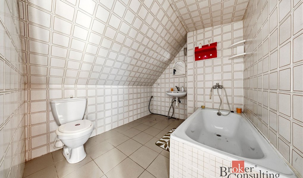 Prodej domu 140 m² s pozemkem 3 294 m², Rudník – náhled fotky 23