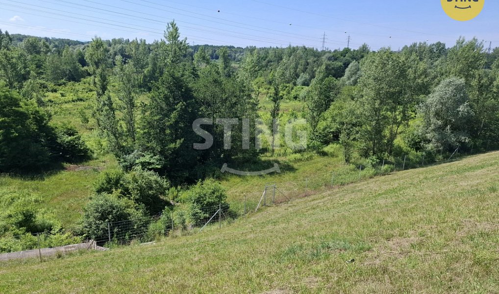 Pronájem lesa 29 433 m², Ostrava – náhled fotky 2