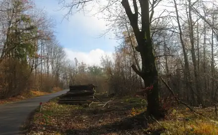 Dražba pozemku 2 265 m², Olomouc