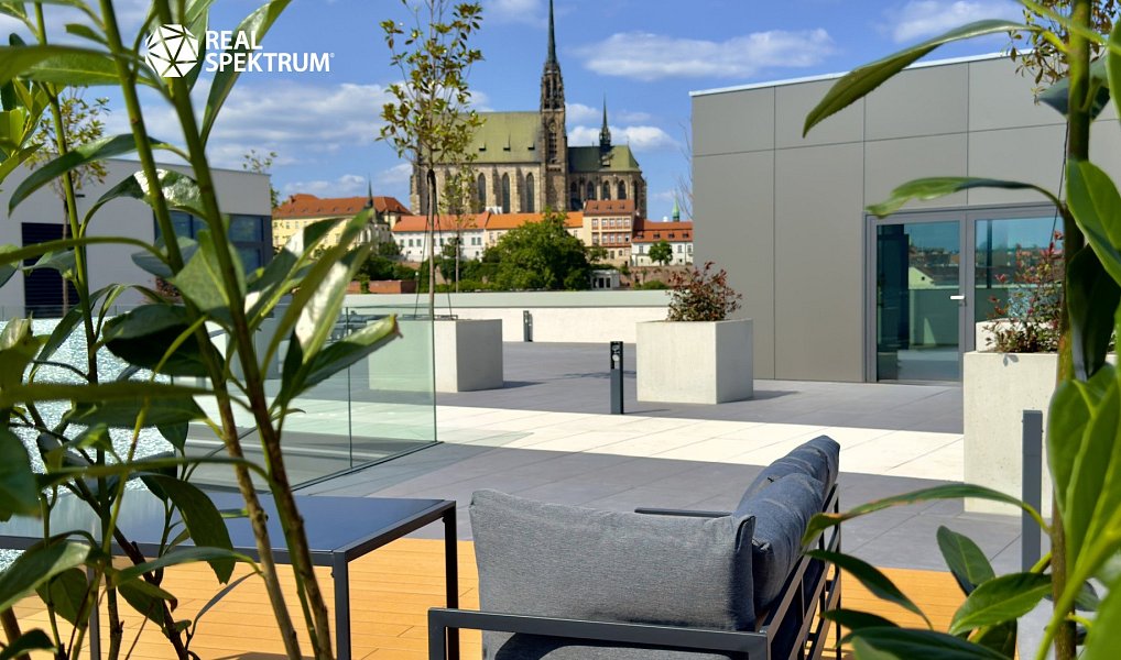 Pronájem kanceláře 410 m², Brno – náhled fotky 8
