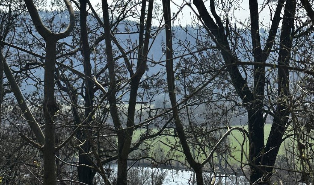 Prodej domu 41 m² s pozemkem 334 m², Černošice – náhled fotky 5