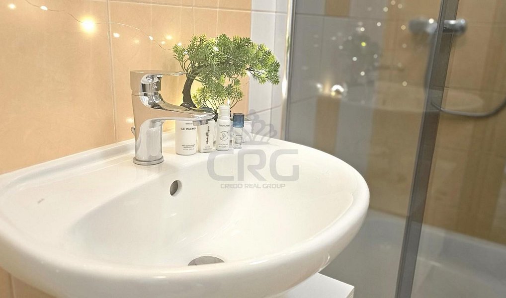 Pronájem bytu 1+kk 32 m², Brno – náhled fotky 4