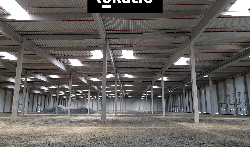 Pronájem skladovacích prostor 18 969 m², Mošnov – náhled fotky 6
