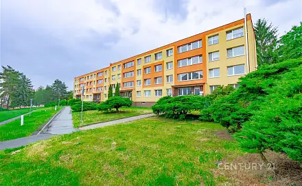 Pronájem bytu 1+1 27 m², Alšova, Bílina - Pražské Předměstí, okres Teplice