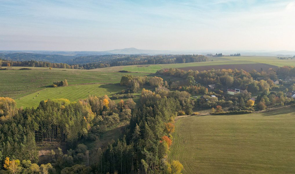 Prodej pozemku 15 970 m², Planá – náhled fotky 10