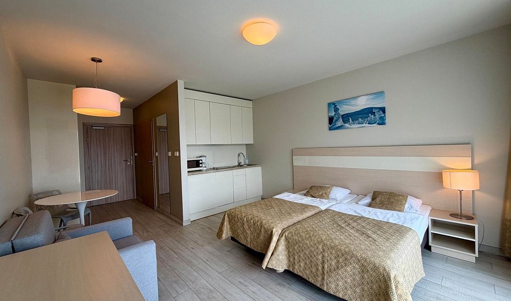 Prodej bytu 1+kk 28 m², Dolní Morava – náhled fotky 3
