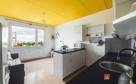 Prodej bytu 1+1 46 m²