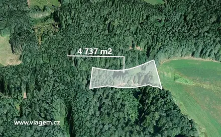 Prodej lesa 2 072 m², Studnice, okres Chrudim