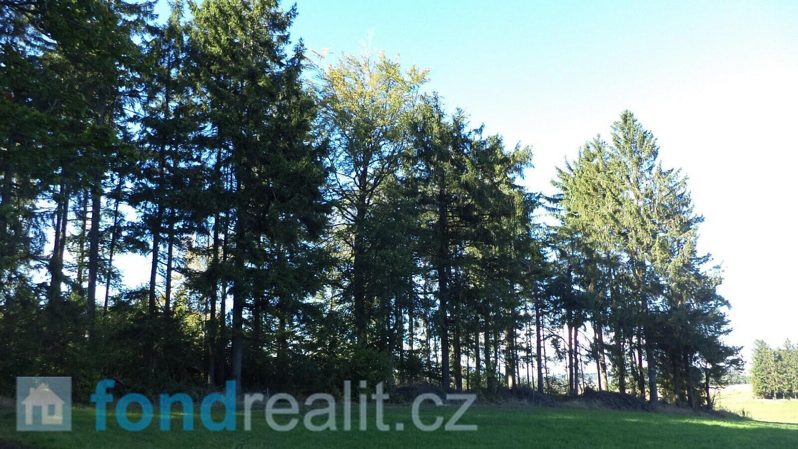 Prodej pozemku 4 992 m² – fotografie 5