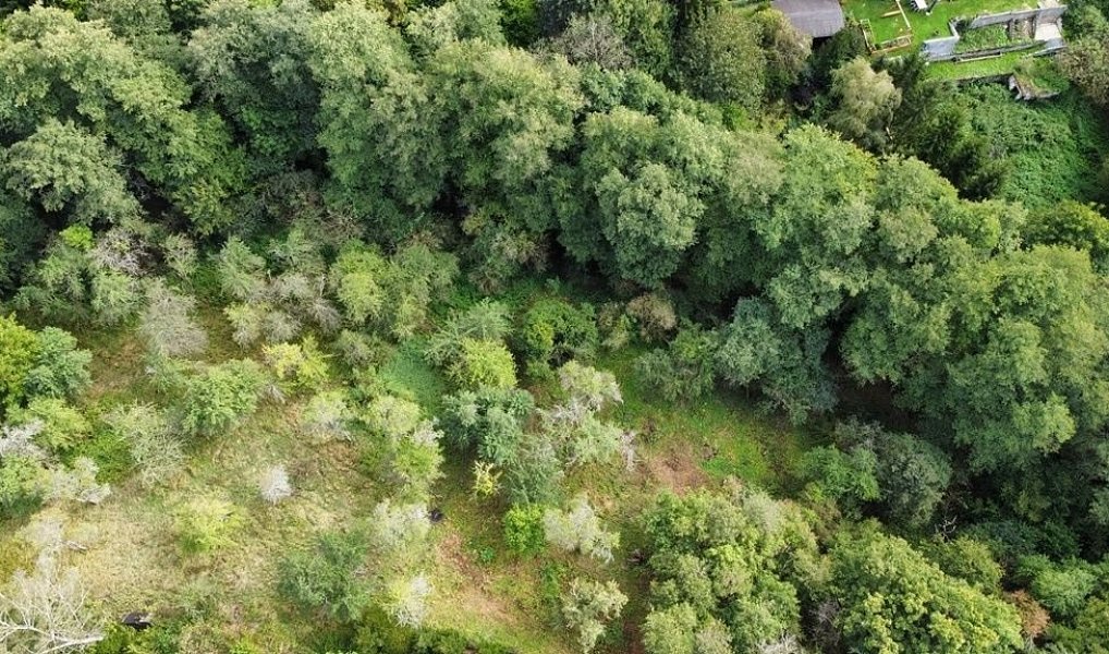 Prodej zahrady 1 984 m², Hýskov – náhled fotky 2