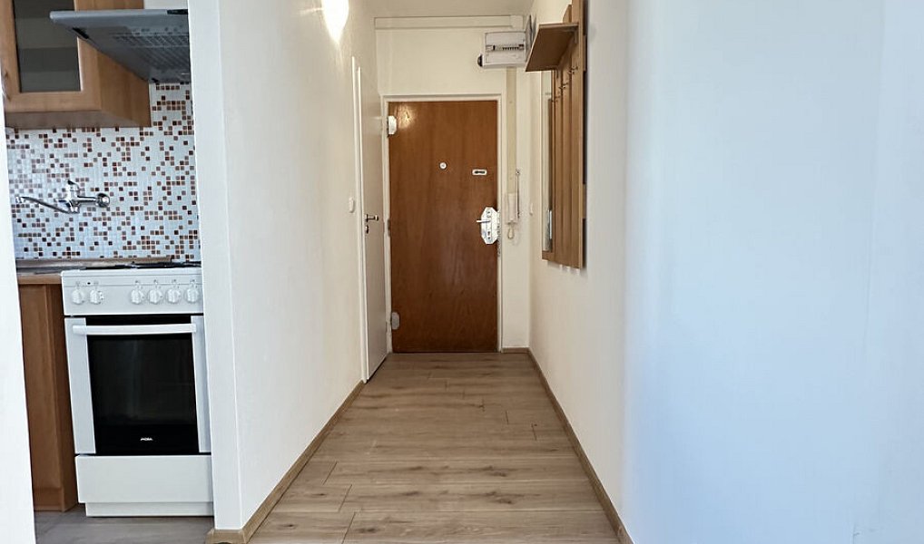 Pronájem bytu 2+1 59 m², Brno – náhled fotky 3