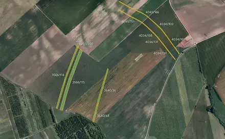 Prodej pole 31 209 m², Čejkovice, okres Hodonín