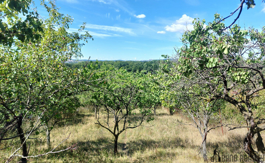 Prodej zahradních pozemků, celkem 1 578 m², Brněnské Ivanovice – pohled 2