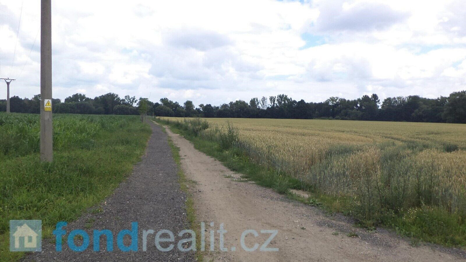 Prodej pozemku 6 038 m² – fotografie 2
