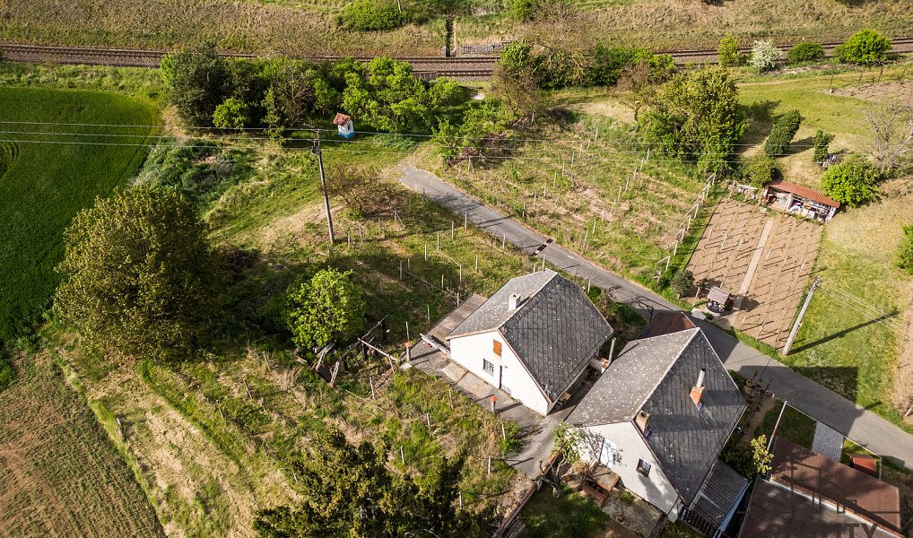 Prodej vinného sklepa s vinohradem ve Skoronicích, sklep + vinohrad Skoronice, Skoronice – náhled fotky 13