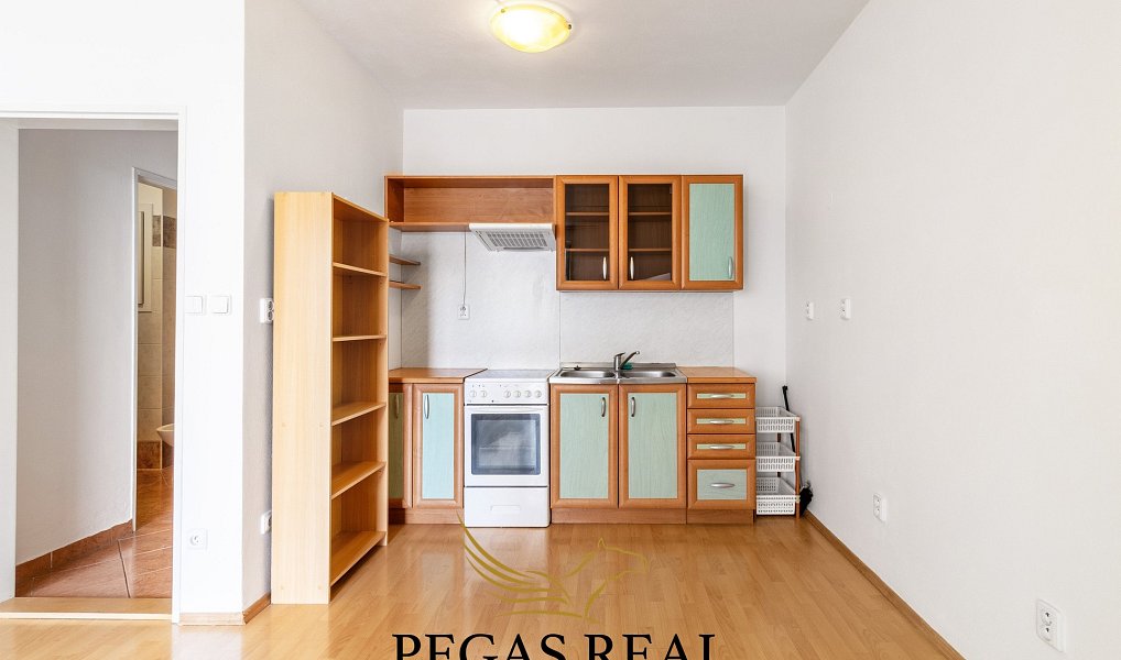 Pronájem bytu 1+kk 40 m², Brno – náhled fotky 5
