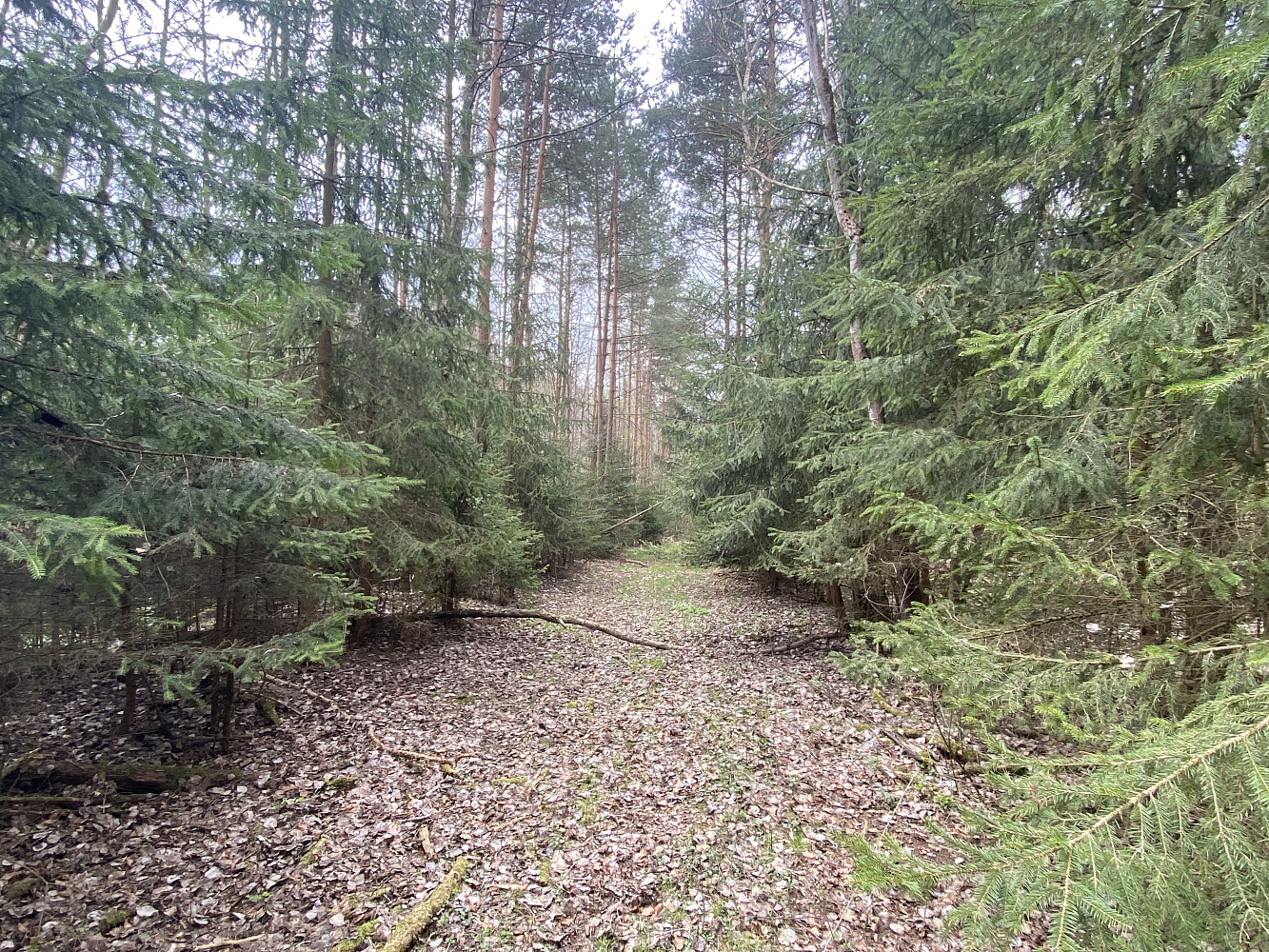 Prodej pozemku 5 958 m²
