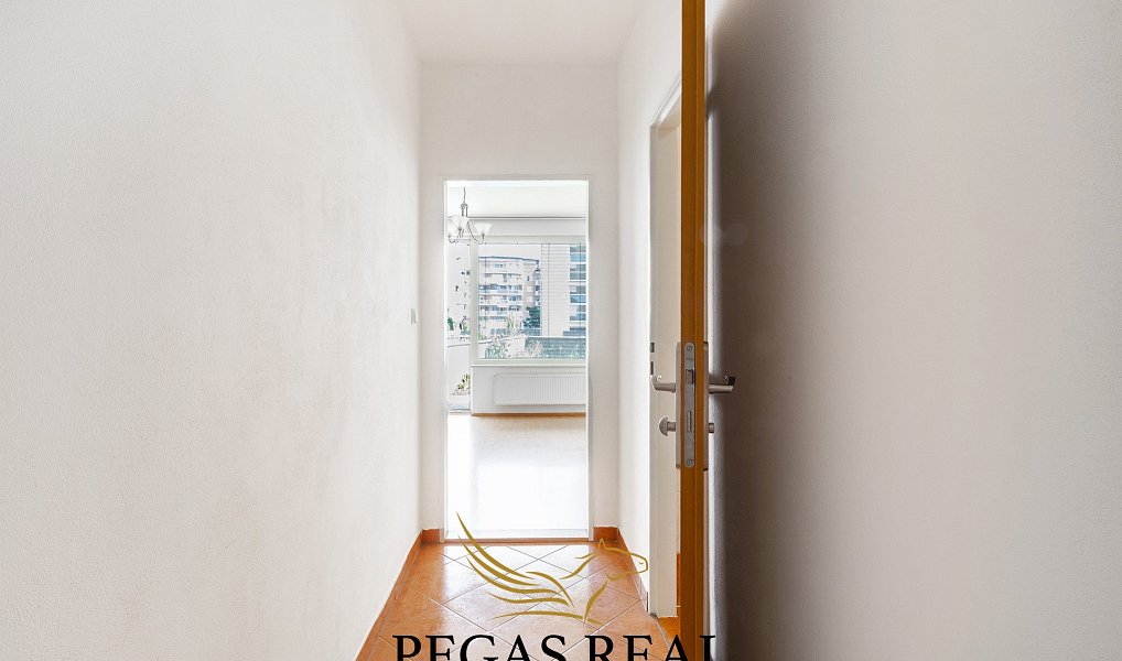 Pronájem bytu 1+kk 40 m², Brno – náhled fotky 8