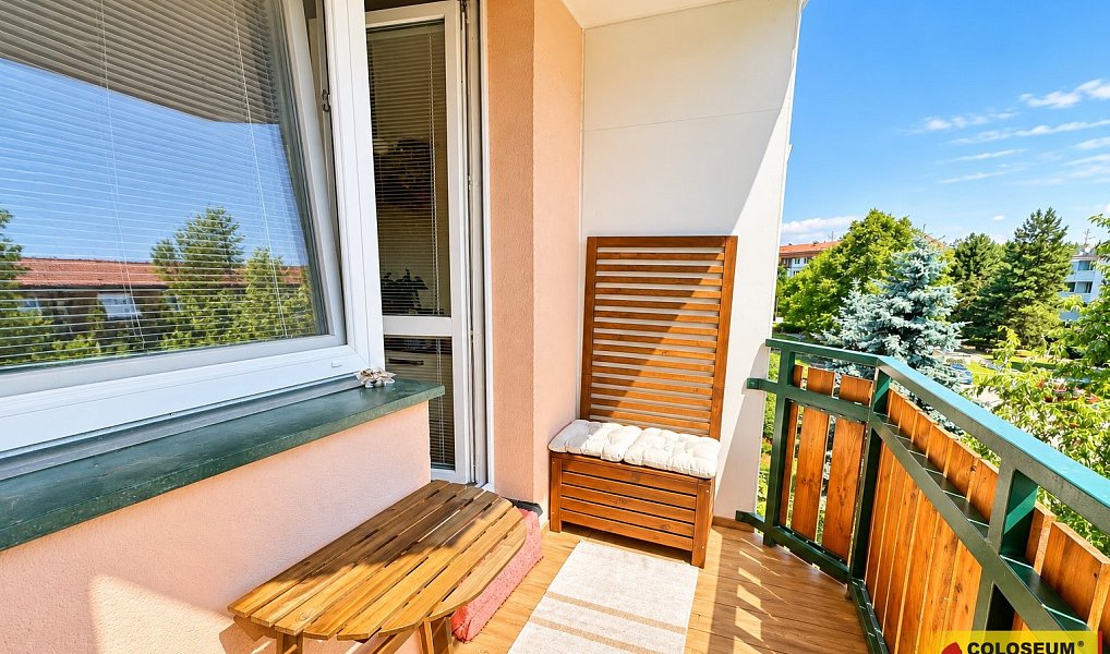 Prodej bytu 3+1 73 m², Brno – náhled fotky 3