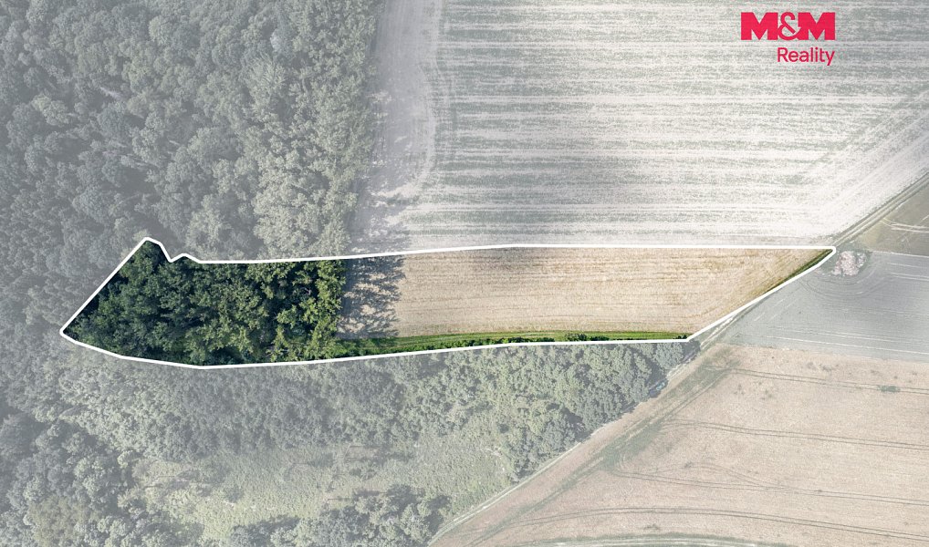 Prodej lesa 11 971 m², Bohuslavice – náhled fotky 2